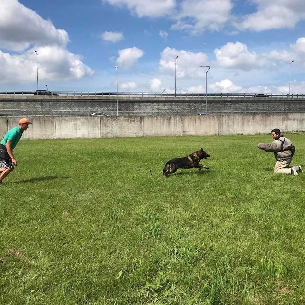Rabid Dog Chase in Riga for Stag Party